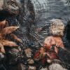 a close up of leaves and rocks in a body of water